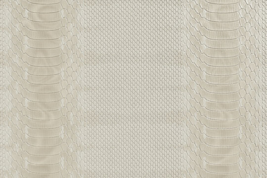 White Python Snakeskin Texture Background, Beige Exotic Reptile Leather Pattern