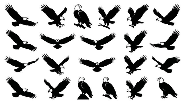 Set of bald eagle silhouettes in various poses
