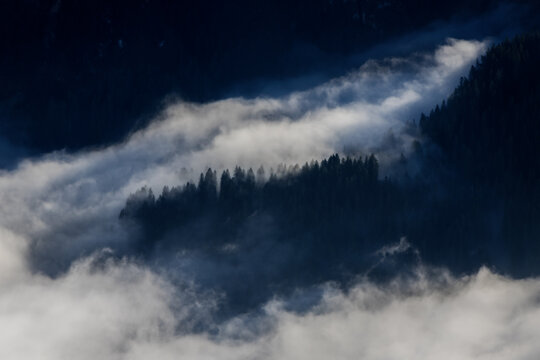 View of the Stoos mountain landscape with pine trees emerging from thick white fog and mist in Morschach, Schwyz, Switzerland.