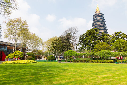The lawns and trees in the park in spring