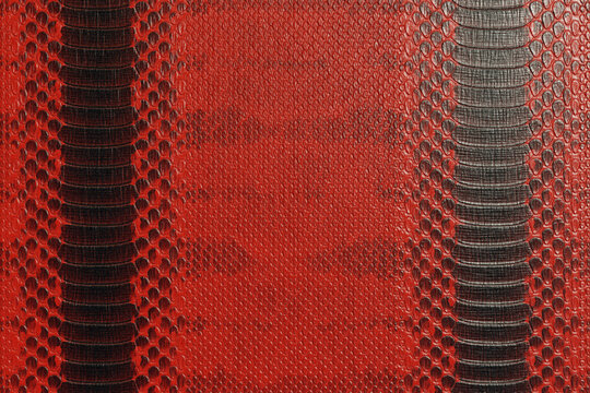 Dark Red and Black Python Snakeskin Texture Background, Exotic Reptile Leather Pattern