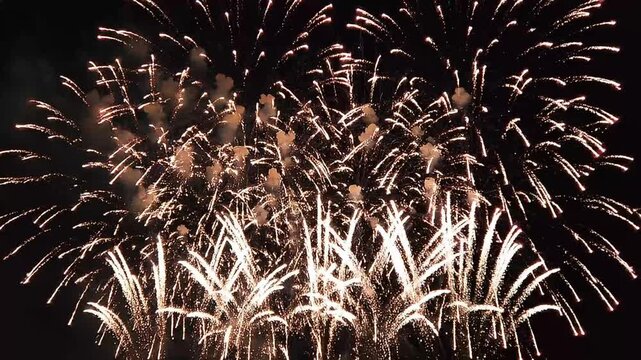 Spectacular colorful fireworks display with vibrant pink and blue bursts exploding in the night sky during a festive holiday celebration