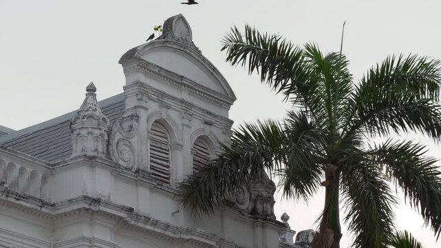 day time penang island george town city hall front palm tree top slow motion panorama 4k malaysia