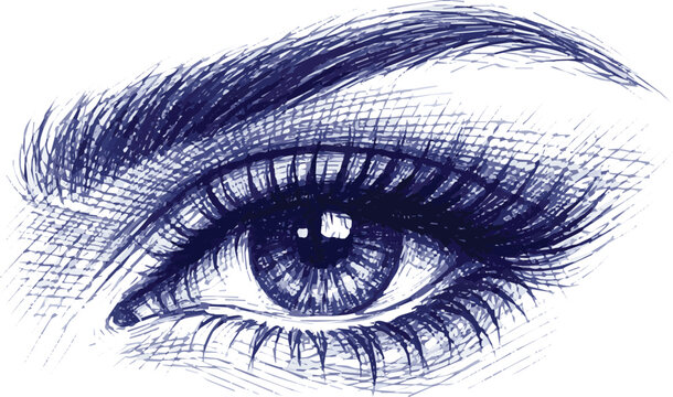 Isolated on Ballpoint pen sketch of beautiful female eye vector art on white background