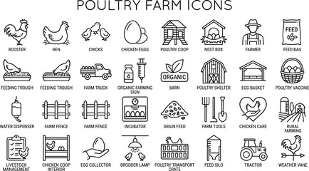 Poultry Farm Line Icon Set Featuring Chicken Hen Rooster Eggs Barn Feed Silo and Livestock Farming Equipment for Agricultural Website App Graphic Designs © Nurchhana