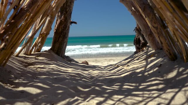 Driftwood shelter frames sandy path to turquoise waves and blue sky