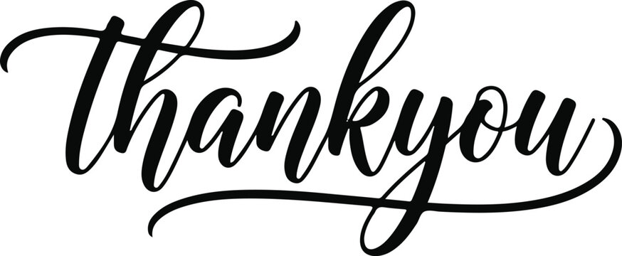 Elegant script typography vector 'thank you' text design