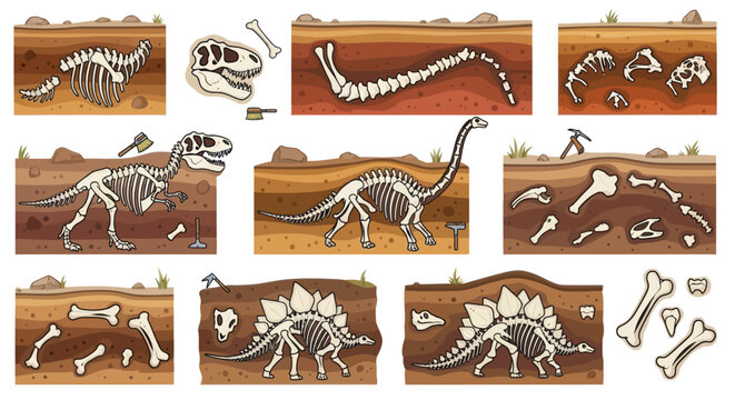 Excavation site reveals dinosaur fossils and skeleton remains in dirt layers