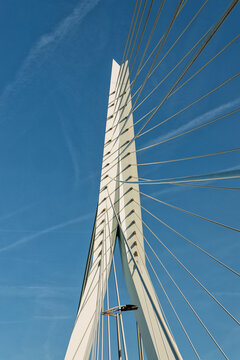View of the white pylon and steel cables of the Erasmus Bridge against a clear blue sky in Rotterdam, South Holland, Netherlands.