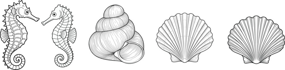 Marine Life Outline Vector Set Featuring Seahorses Sea Shells and Ocean Themed Hand Drawn Illustrations © Amatullah Nasrin