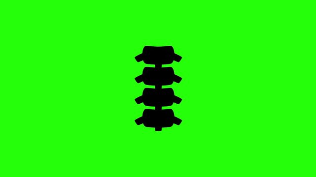 Premium 4K video showcasing a biological human spinal column bone segment silhouette bouncing fluidly. Clean chiropractic health treatment clinic layout asset.