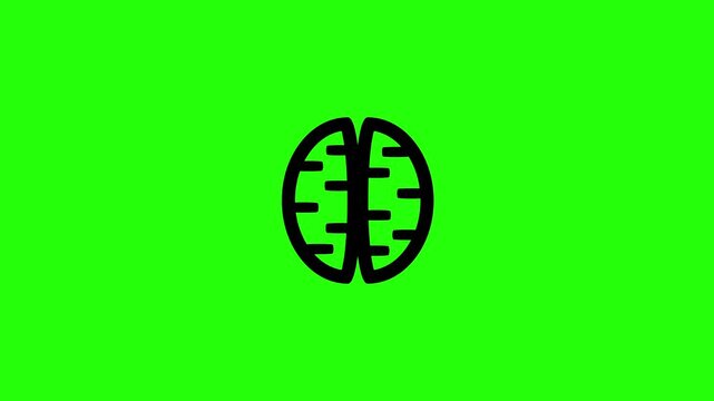 Beautiful 4K motion asset containing a human cerebrum organ viewed from above displaying two hemispheres silhouette bouncing cleanly. Neurology intelligence graphic.