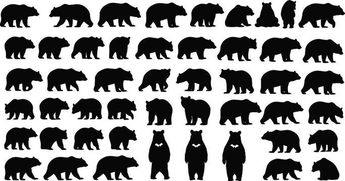 Black bear silhouette collection in various poses including walking, standing, sitting, and resting &mdash; wildlife animal vector icons