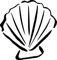 Scallop Shell Pecten Maximus Element Beach Wedding Summer Hand Drawn Graphic © Maggieway