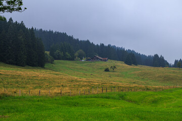 Fototapeta premium Panorama view with green meadows and alp Alpe Metzeberg near mountain Grünten in Allgäu Alps, Bavaria, Germany