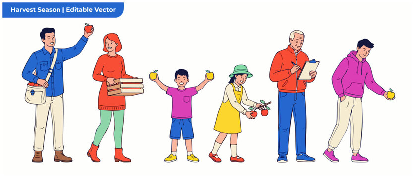 Family picking apples vector illustration during autumn harvest crop gathering season. Happy farmers of different generations collecting fresh red and yellow fruits on a white background design set.