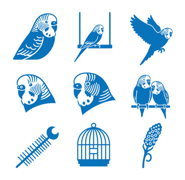 blue silhouettes of parrots and birdcage on white background