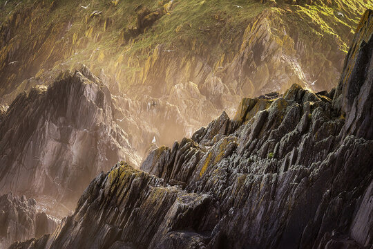 View of the sharp jagged rock formations of Dunmore Head illuminated by golden sunlight with seagulls flying above County Kerry, Ireland.
