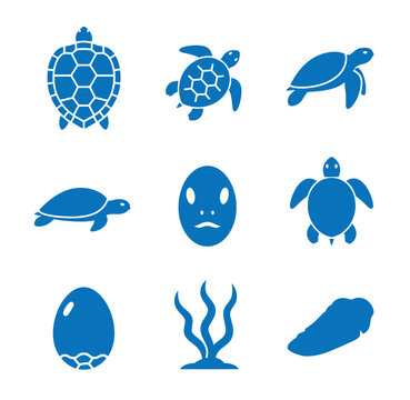 Blue turtle icons and sea creatures on white background