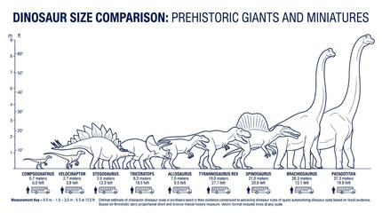 Dinosaur Size Comparison Chart: Prehistoric Giants vs. Miniatures © Wagi