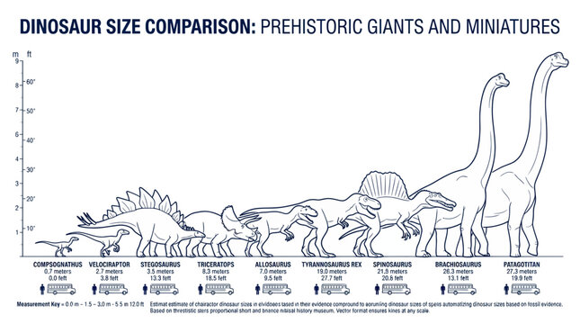 Dinosaur Size Comparison Chart: Prehistoric Giants vs. Miniatures