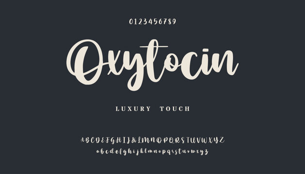 signature Font Calligraphy Logotype Script Brush Font Type Font lettering handwritten. Elegant Signature Font. Best Alphabet Beautiful Calligraphy Signature Font