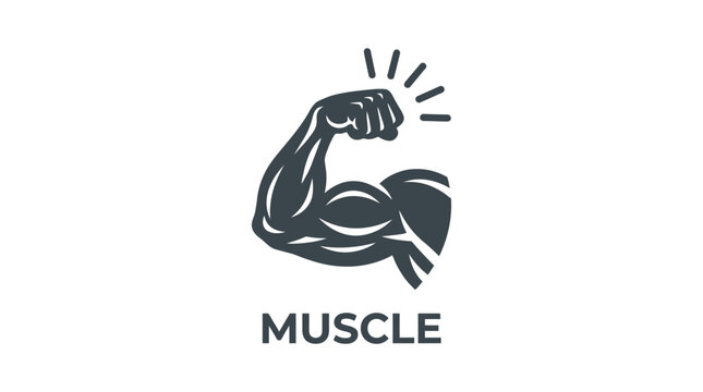Stylized illustration of a flexed bicep muscle with radiating lines and the word muscle