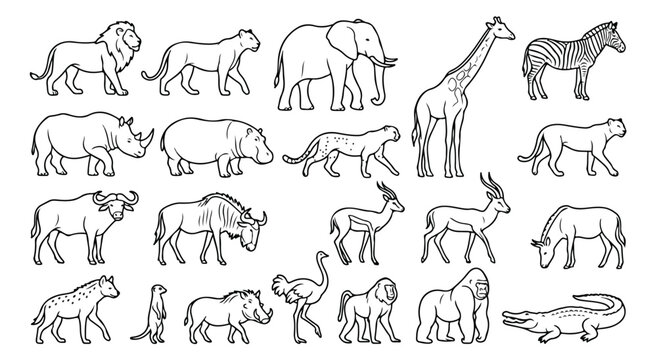 African safari animals line art collection, set of 21 wild savanna animal icons, black and white outline vector illustrations for coloring and education