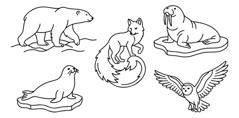 Arctic animals line art collection, polar bear and walrus vector set, snowy owl and arctic fox illustrations for coloring books and education © usman