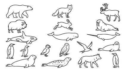 Arctic animals line art collection, 19 polar wildlife vector icons, minimalist hand drawn cold climate fauna set for educational coloring books © usman
