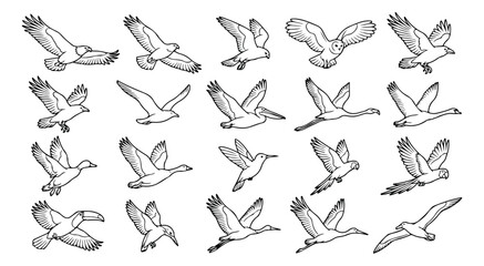 Obraz premium Hand drawn flying bird icons set, 20 black and white bird sketches in flight, minimalist avian line art illustrations, wild bird vector collection