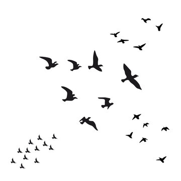 Silhouette of two groups of birds flying in the sky vector. Minimal flock of birds graphic element for minimalist posters, wall art, and background design.