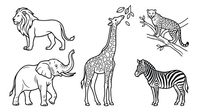African safari animals vector set, hand drawn wild animal line art illustrations, black and white coloring page with lion elephant giraffe zebra and leopard