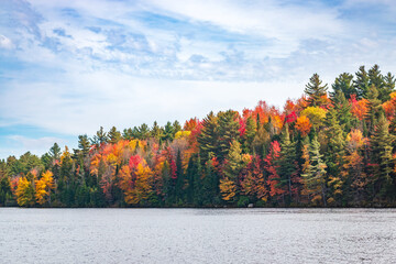 Obraz premium Autumn landscape with trees and water at Adirondacks, NY