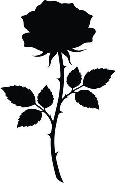 Single blooming rose flower with thorny stem and leaves black silhouette icon isolated on plain white background for romantic floral design templates