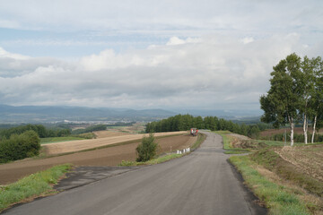 Fototapeta premium Hokkaido, mountain ridges and birch, with woodland, in september, natural landscape