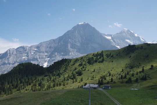Switzerland, snowy mountain and mountain ridges, with woodland, in august, panorama