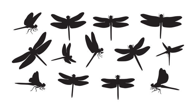 black and white silhouette set of dragonfly very high quality vector illustration.