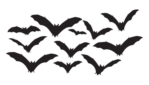 black and white silhouette set of bats very high quality vector illustration.