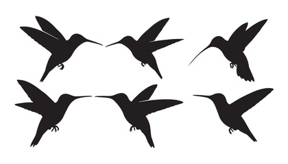 black and white silhouette set of hummingbirds very high quality vector illustration. © dinesh