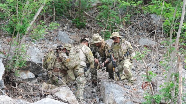 Tactical training exercise forest environment military action camouflage strategy ground level perspective team cohesion
