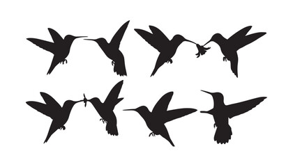 black and white silhouette set of hummingbirds very high quality vector illustration. © dinesh