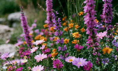 Obraz premium a wild garden