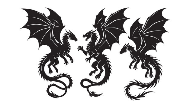 black and white silhouette set of Mythical Dragon very high quality vector illustration.