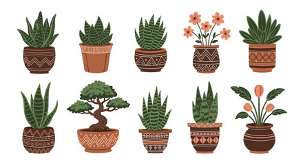 Fototapeta premium Array of indoor potted plants including succulents aloe vera and flowering plants in decorative ethnic style ceramic pots for home decor.