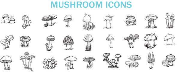 Fototapeta premium Mushroom collection vector icons. Hand drawn forest fungi and autumn engraving elements set