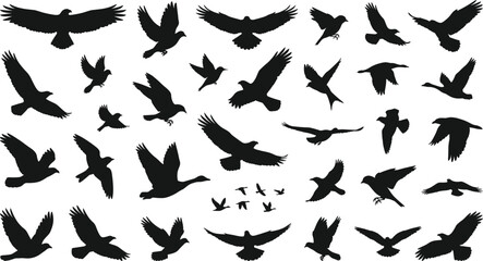 Obraz premium Flying birds silhouettes collection with eagle hawk pigeon seagull sparrow and wild geese flock soaring isolated vector illustration set for nature design