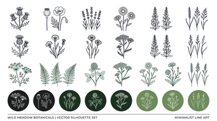 Wild Meadow Botanicals Vector Line Art Set - Hand Drawn Floral Elements © titis