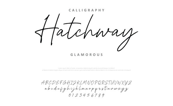 signature Font Calligraphy Logotype Script Brush Font Type Font lettering handwritten. Minimal modern urban fonts for logo, brand etc. Typography typeface uppercase lowercase and number.