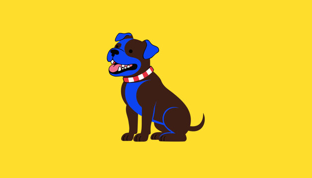 Pitbull dog